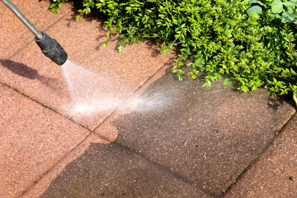 Best Roof Power Washing Services  in Garden Grove, FL